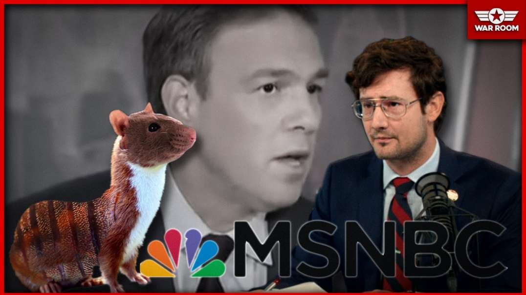 Bizarre Weasel Rat Bedbug Hybrid Infests MSNBC Studios