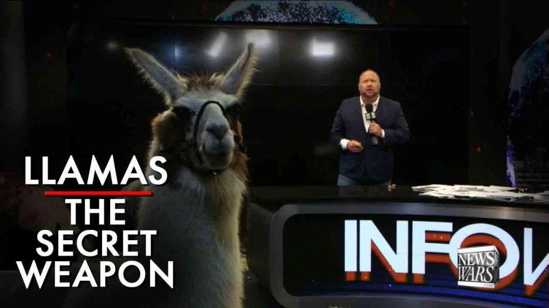 Llamas Are The Secret Weapon To Breaking Mass Mind Control