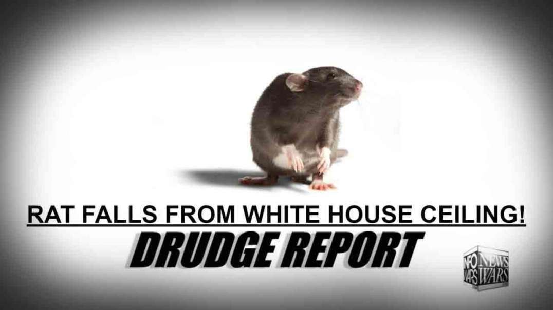 Rats Fall From Ceiling In White House