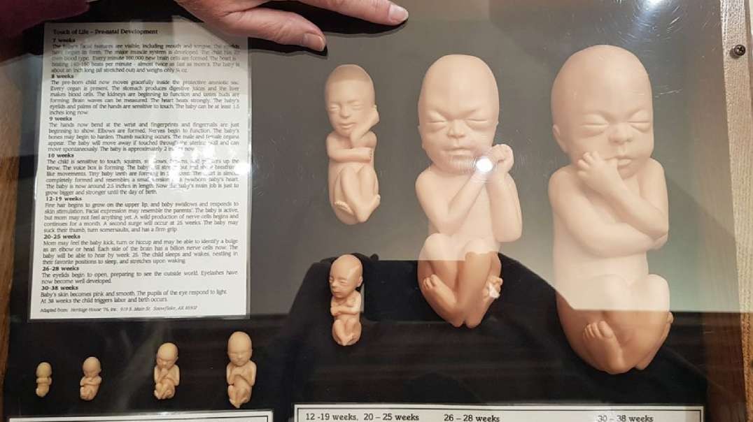 Truth Puts Jury in Tears in PP Baby Body Parts Trial