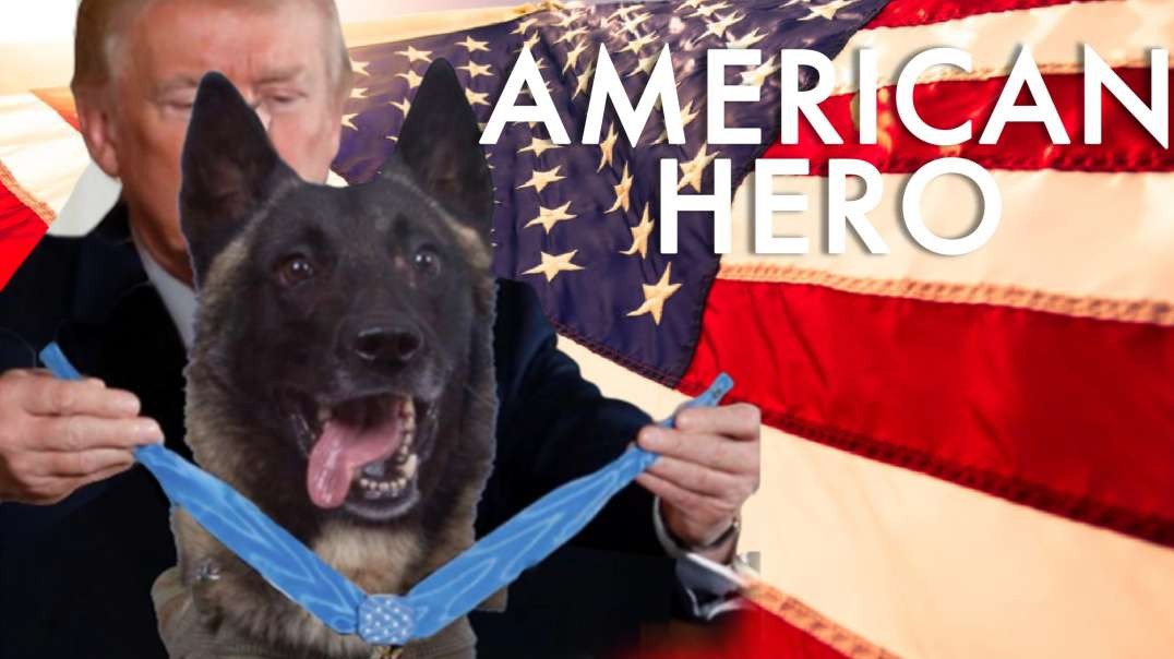 Trump Uses Hero Dog to Troll CNN, Muslims & DeepState