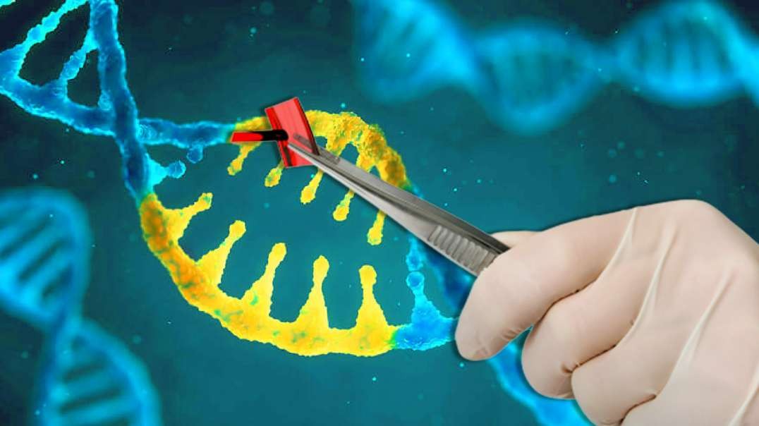 The Truth About DNA Editing