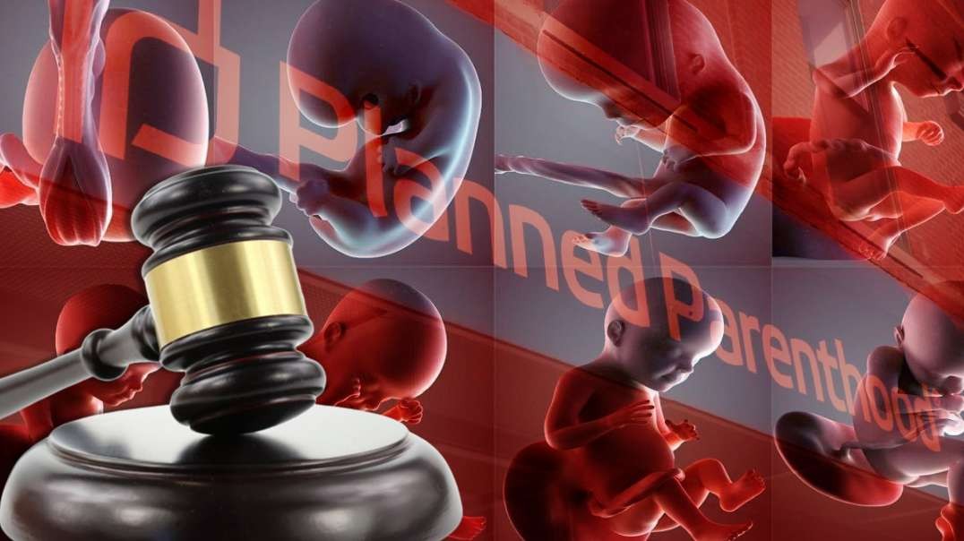 Obama Judge Rigs $2.3M Fine Against Abortion4BabyParts Whistleblower Journalist