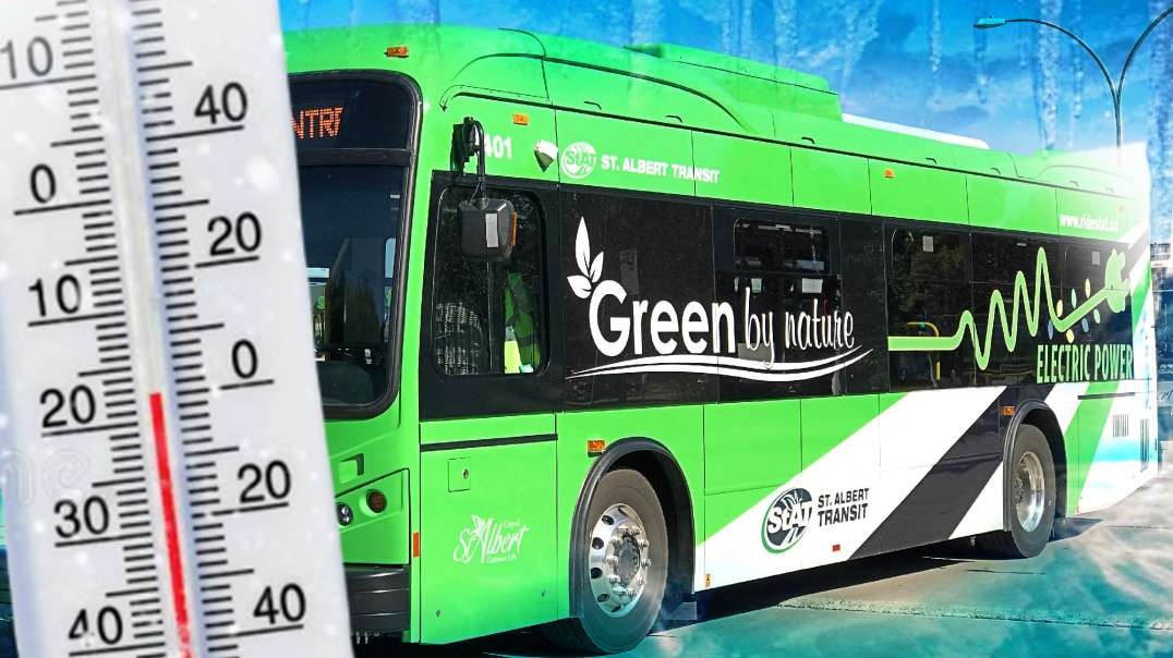 Electric Buses Batteries Freeze to Death, California Kills Small Businesses