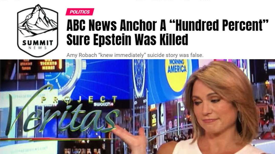 ABC News Anchor 100% Sure Epstein Was Killed