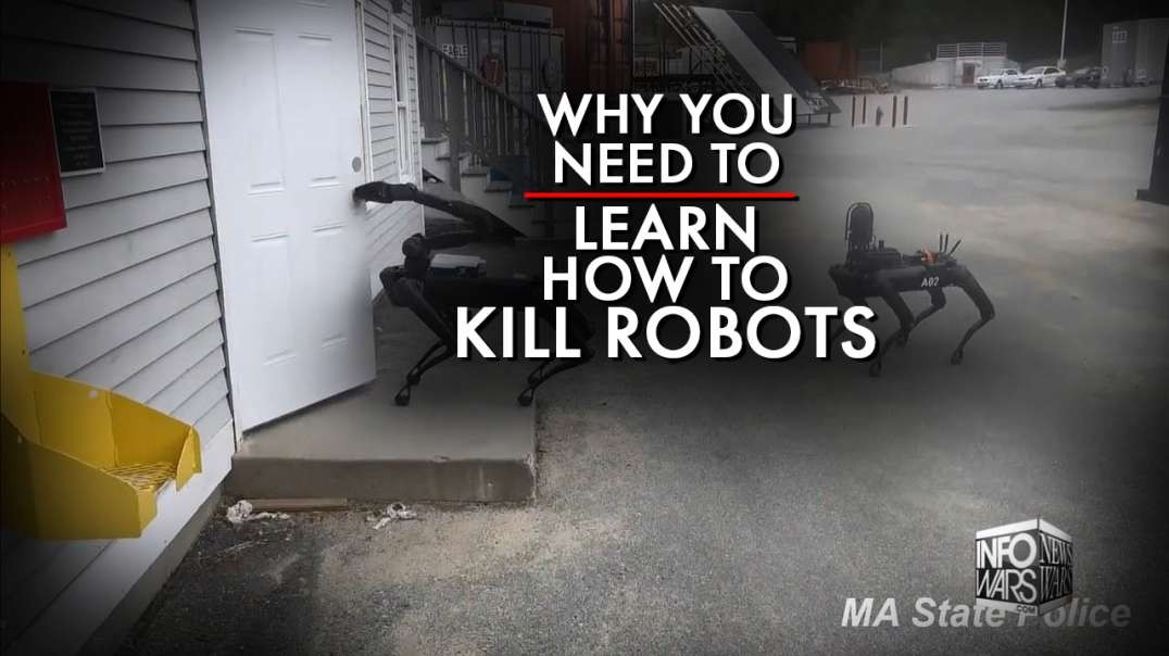 Why You Need To Learn How To Kill Robots