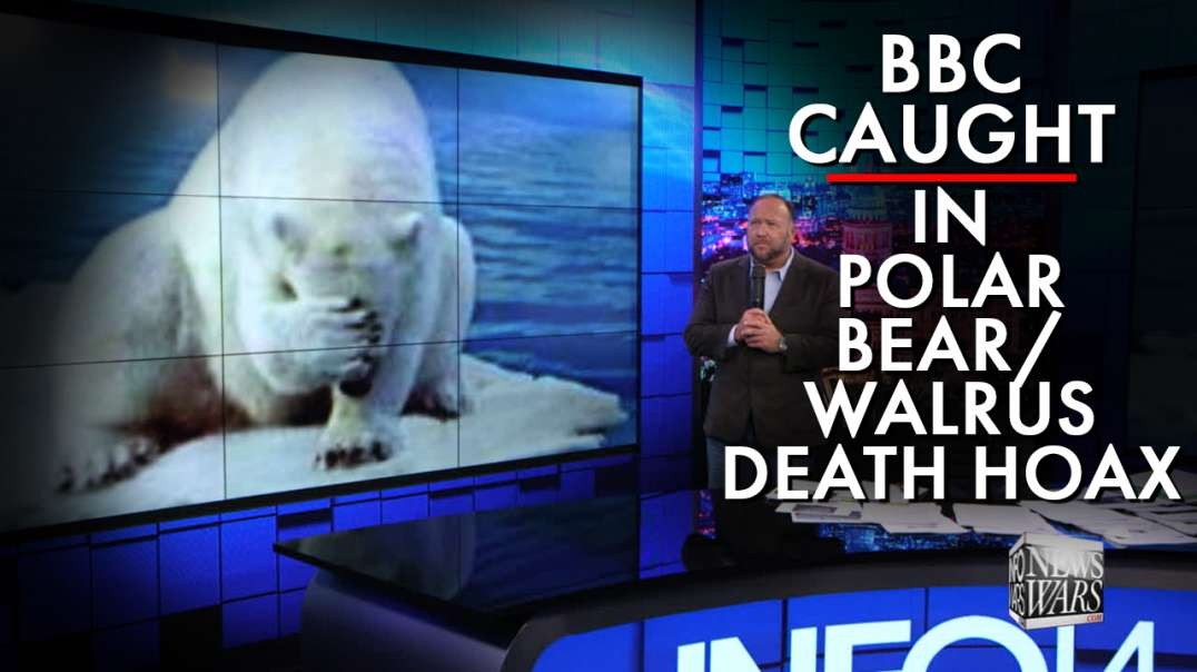 BBC Caught In Polar Bear / Walrus Death Hoax