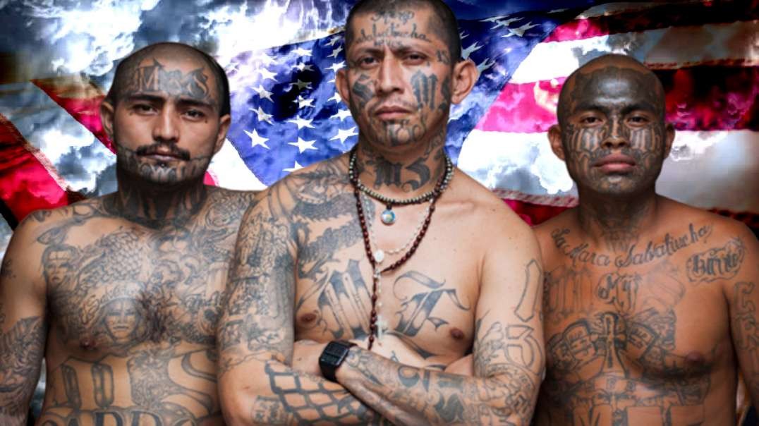 They Escaped MS-13 in El Salvador, Now MS-13 in Virginia Terrorizing Migrants & Americans