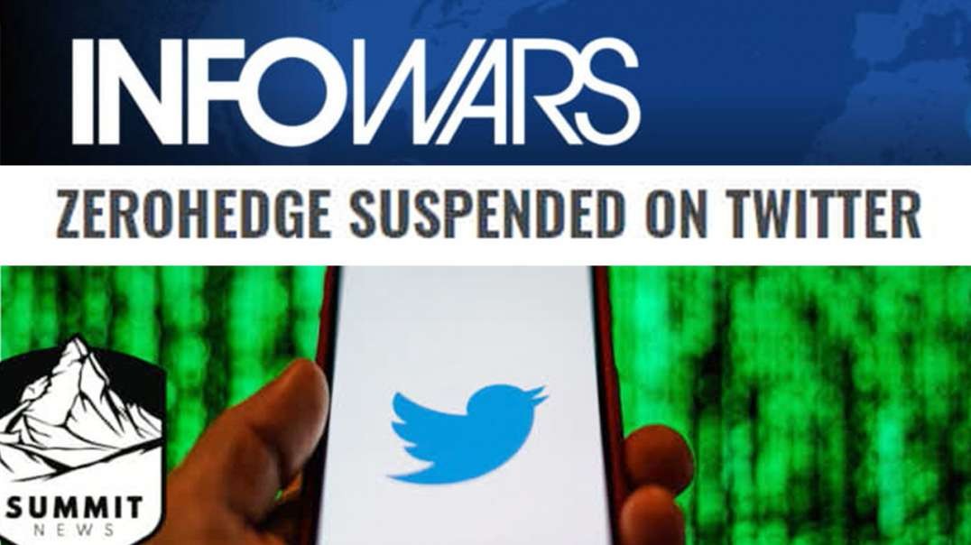 Zero Hedge Banned By Twitter For Questioning Coronavirus Official Story