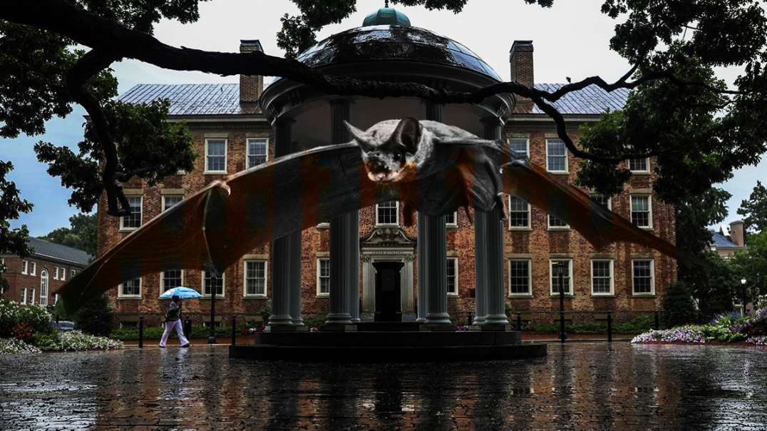 BREAKING: Chinese Bat / Coronavirus Chimera Experiments at UNC Chapel Hill