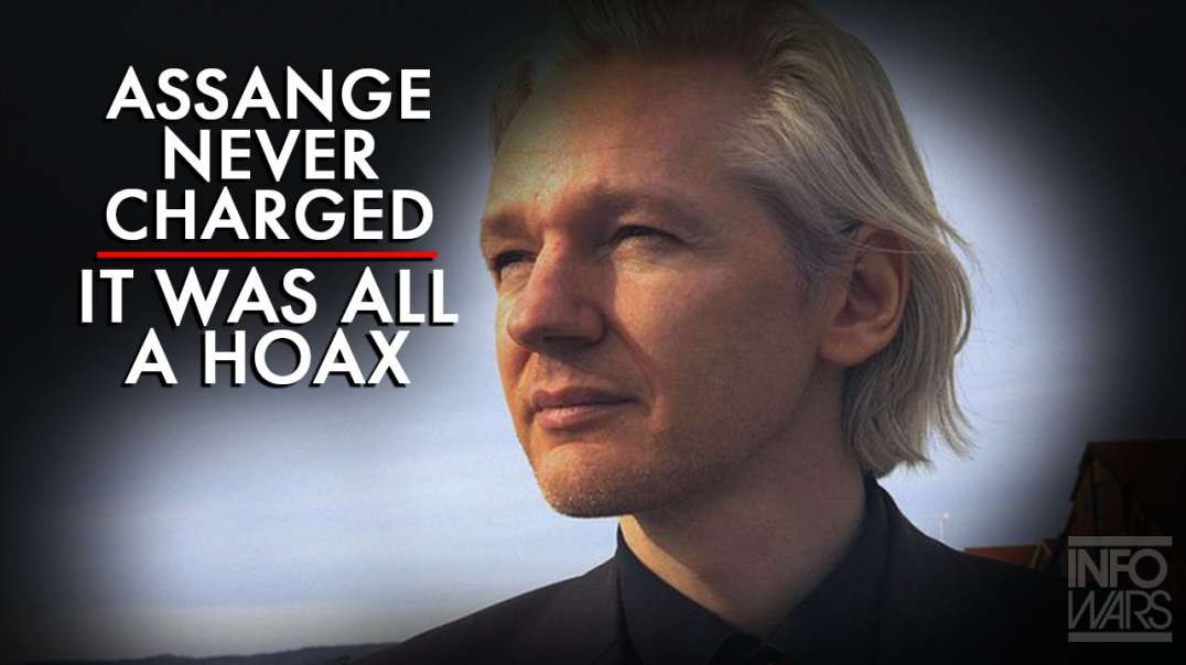 Assange Was Never Charged With Rape, It Was All A Hoax