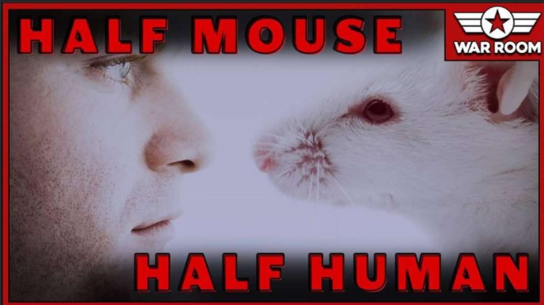 Super Freak Human Mouse Invades Infowars Studio