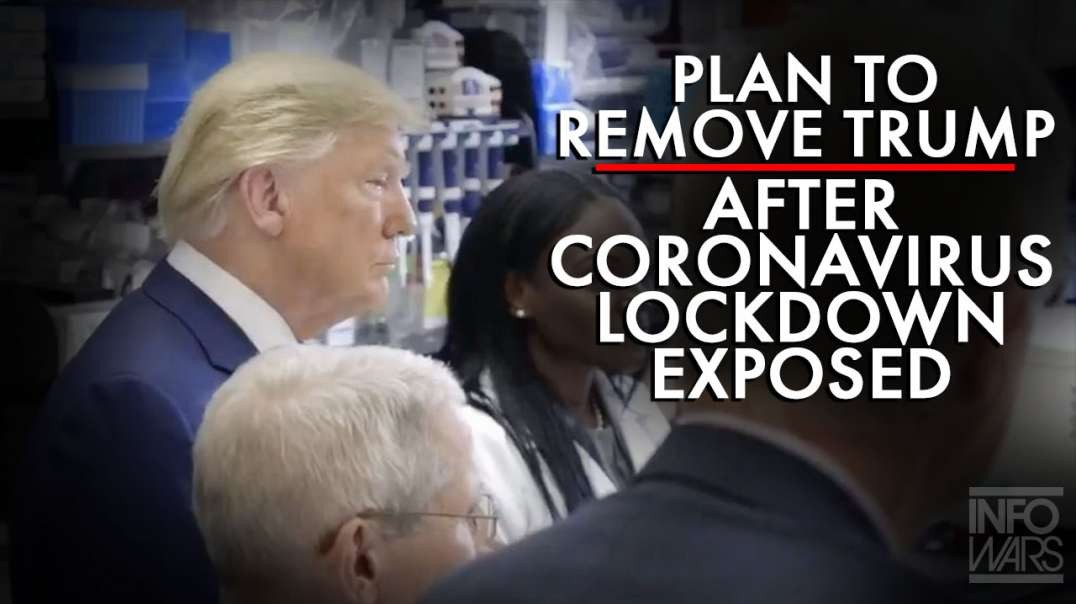 The Plan To Remove Trump After Coronavirus Lockdown Exposed