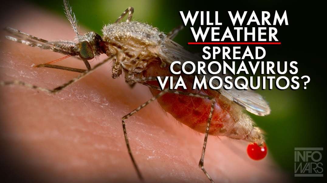 Will Warm Weather Bring The Spread Of Coronavirus Via Mosquitos?