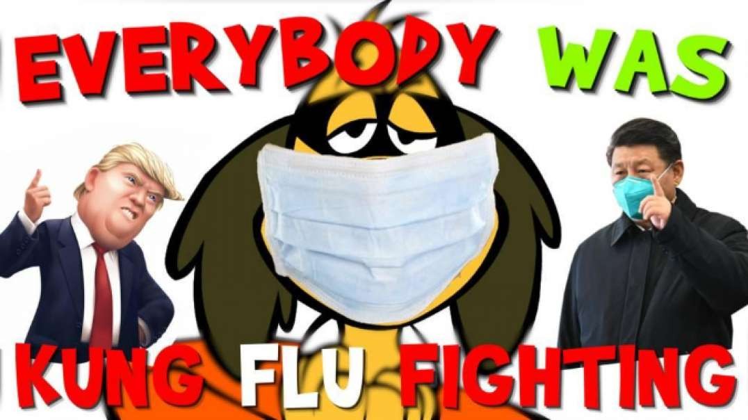 Everybody Was Kung Flu Fighting!