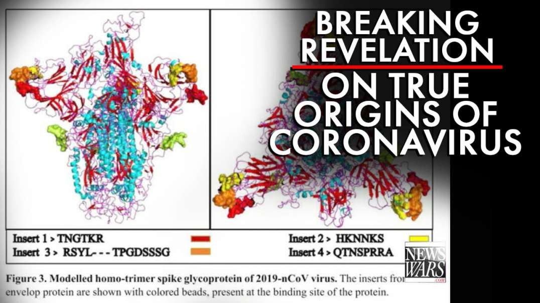 Breaking! Scientific Revelation On The True Origins Of The Coronavirus