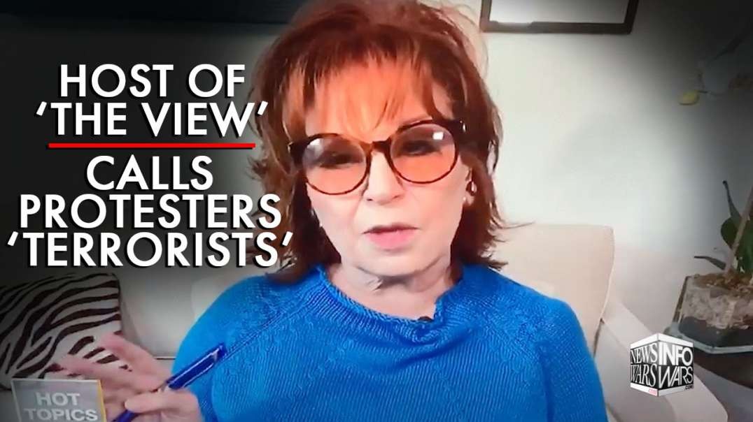 Host of The View Calls Protesters 'Terrorists'