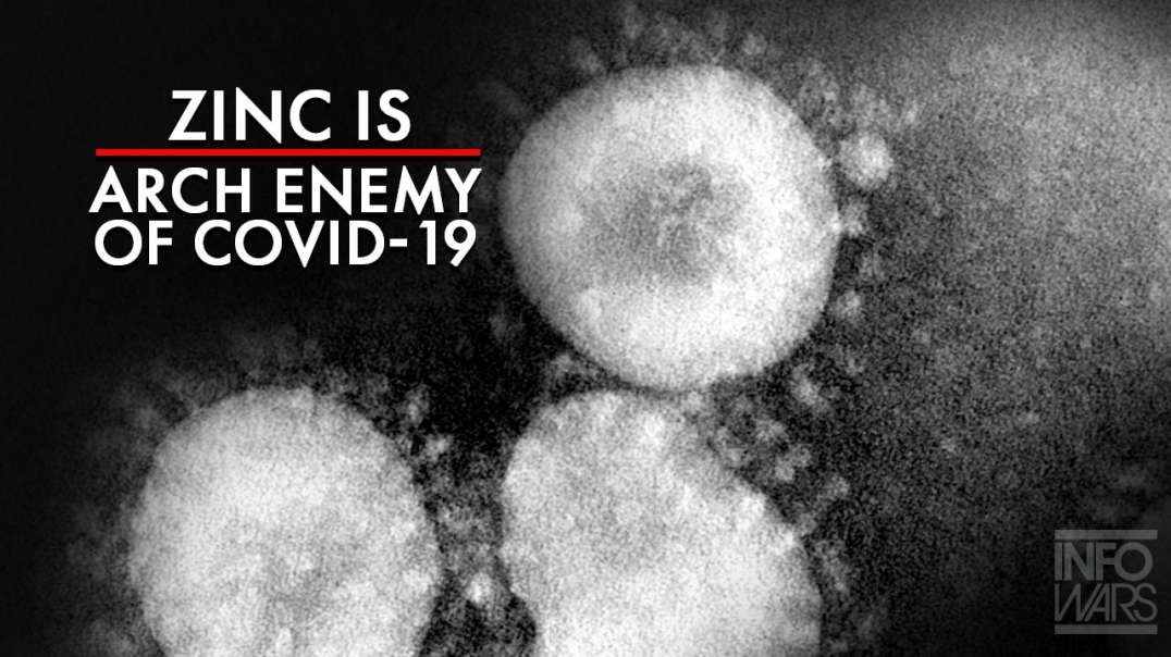 World Awakens, Zinc is the Arch Enemy of Covid-19