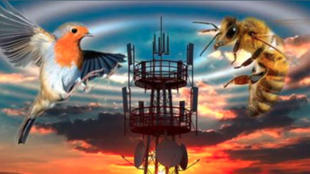 Birds And Bees: Will 5G Also Kill Humanity?