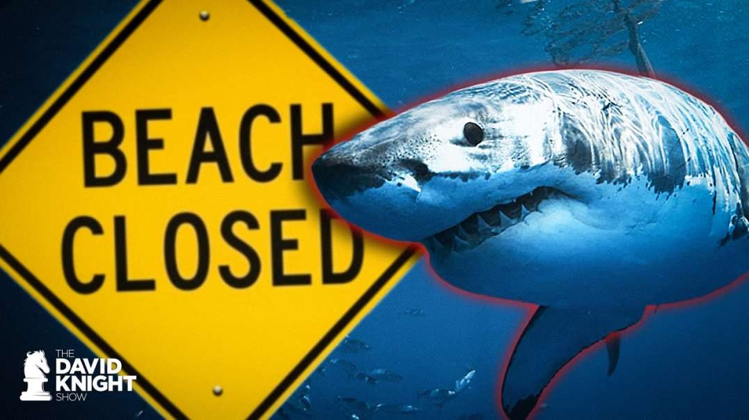 If We Treated Shark Attacks Like COVID…