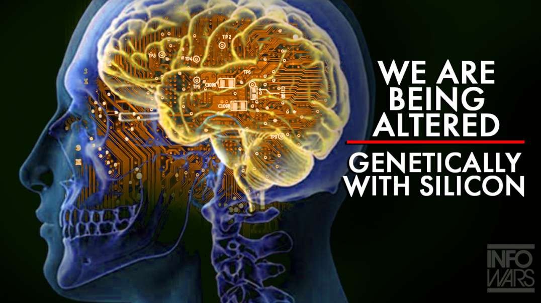 We Are Being Altered Genetically with Silicon