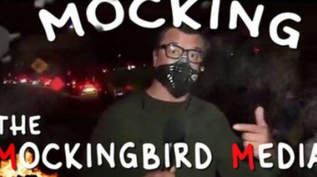 Mocking The Mockingbird Media!