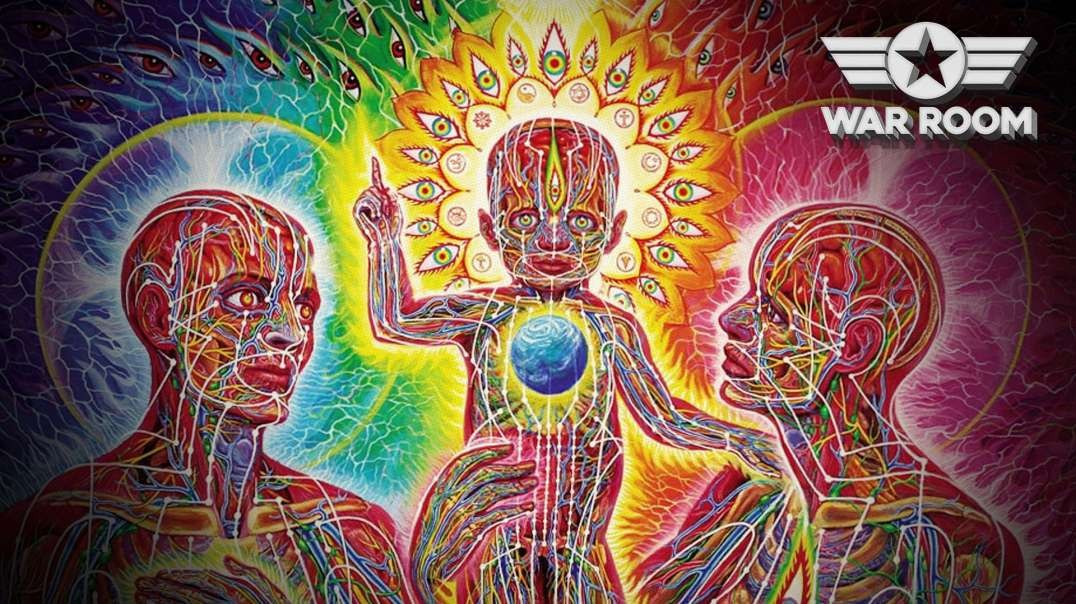 The Truth About DMT And Creation