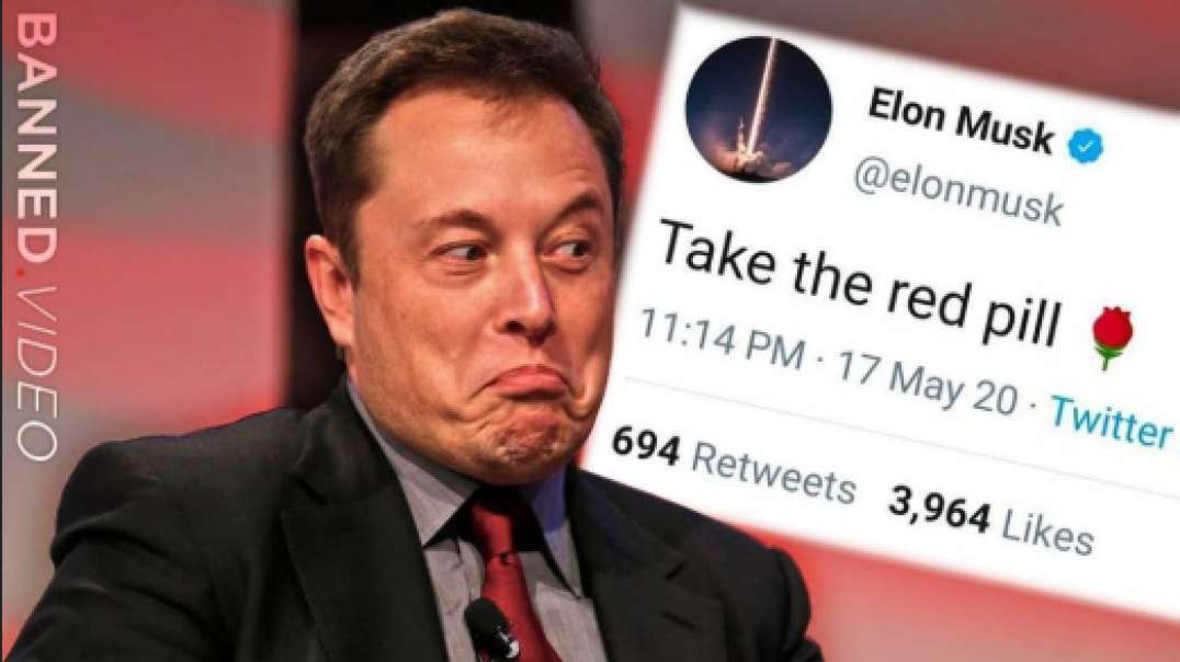 Is Elon Musk Really Red Pilled?