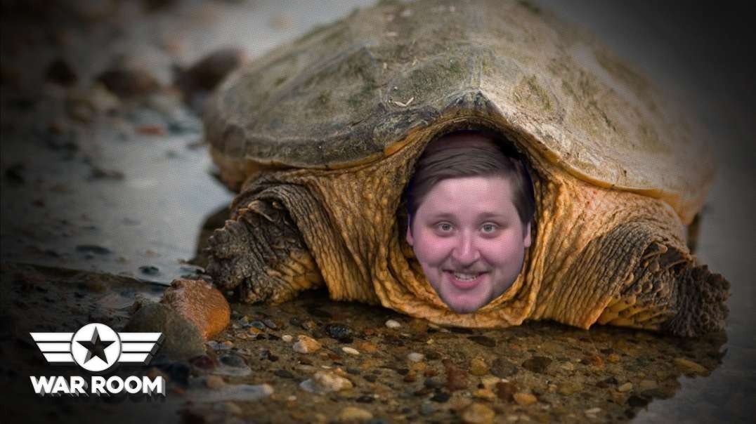 The Science Is In… You’re Actually A Turtle!