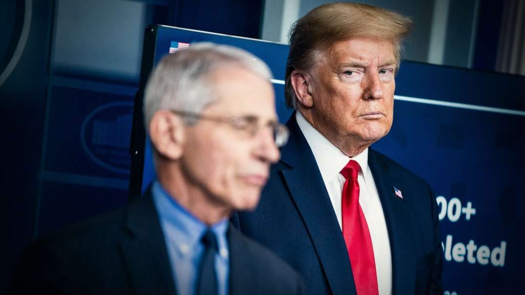 How Trump Can Defeat Fauci Tomorrow