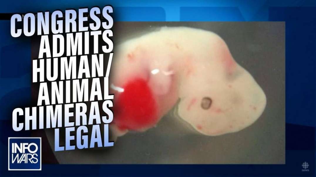 Congress Admits It Is Legal to Create Human Animal Chimeras