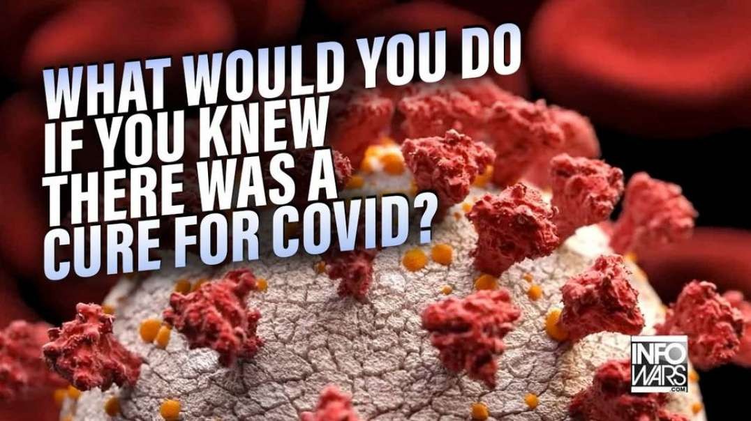 DOCTOR- What Would You Do If You Knew There Was A Cure For COVID 19?