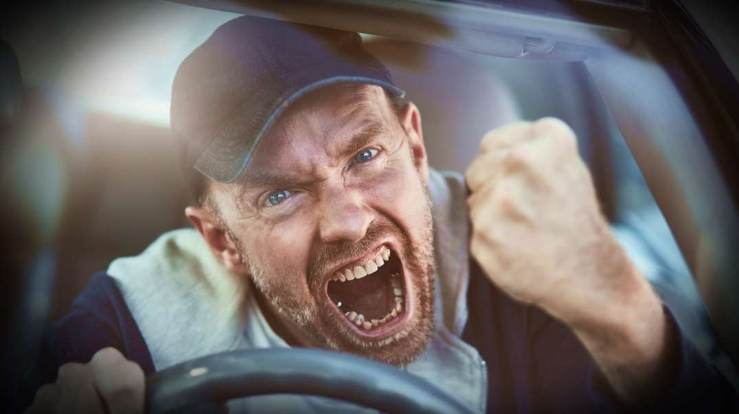 HIGHLIGHTS - Road Rage Is The Eternal State Of The Brainwashed