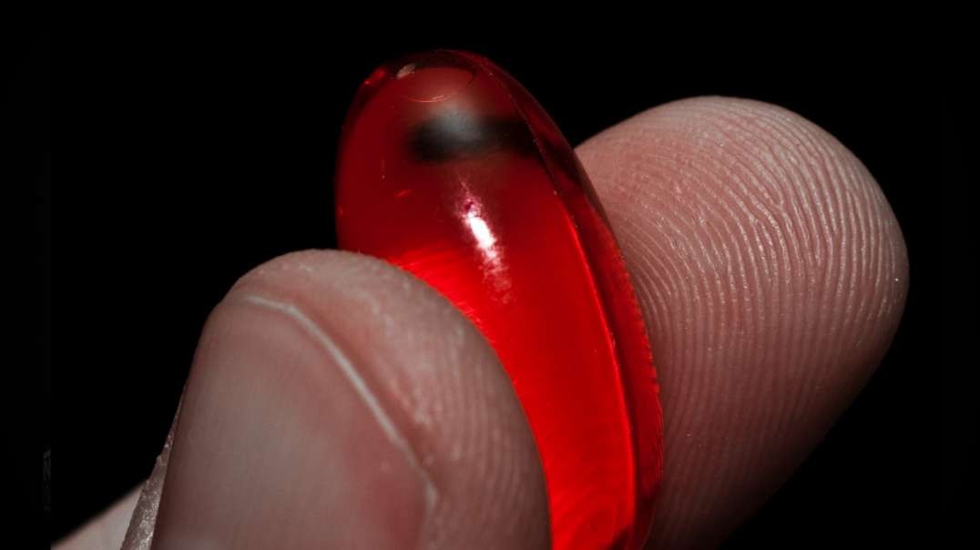 Dr. Zev Zelenko Drops The Ultimate Red Pill