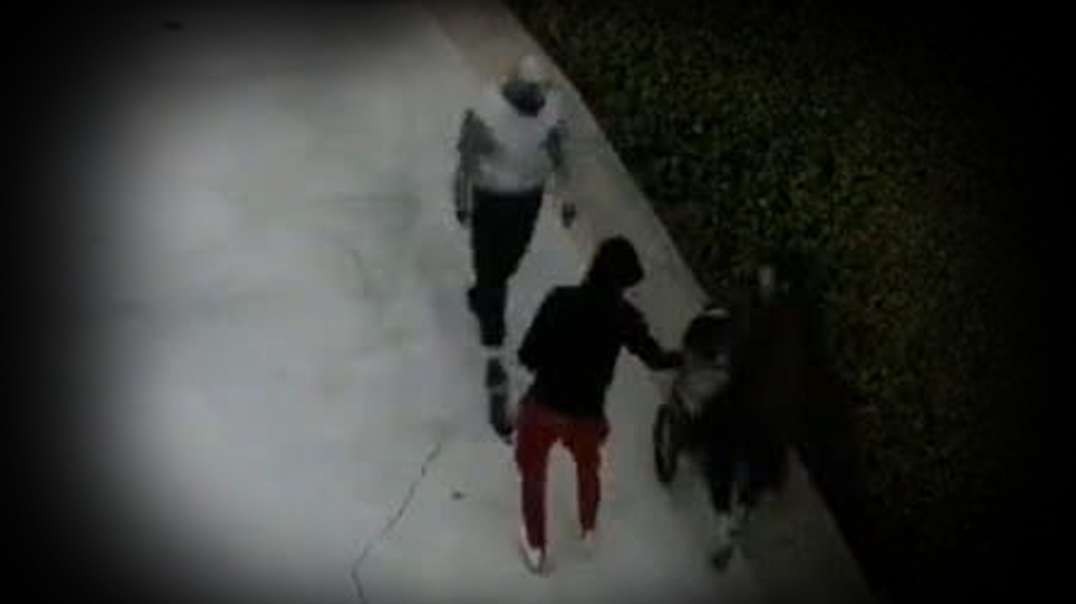 Mom Walking Baby In Stroller Gets Robbed In Front Of House In L.A.