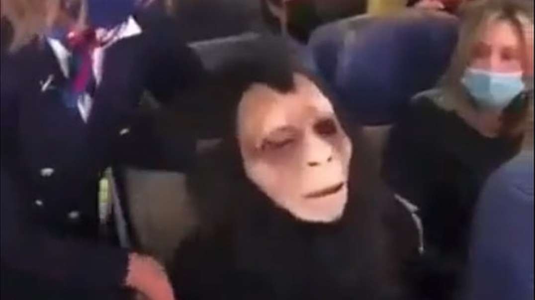 HIGHLIGHTS - Woman Who Identifies As Masked Ape Removed From Plane By Zombies