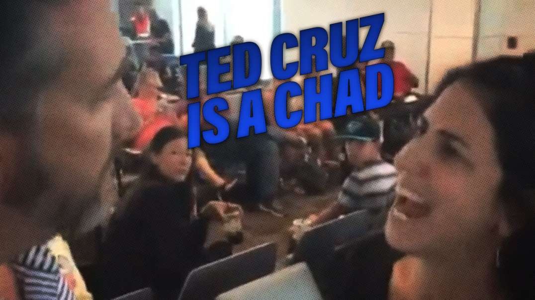 Ted Cruz Owns Liberal Crockpot Harassing Him At D.C. Airport