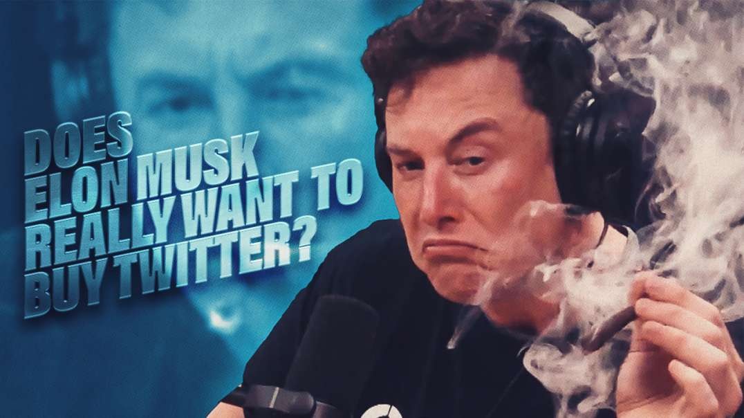Does Elon Musk Really Want To Buy Twitter?
