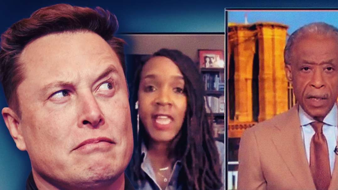 MSNBC Guest Says Musk Transphobic, Shouldn't Be Allowed To Purchase Twitter