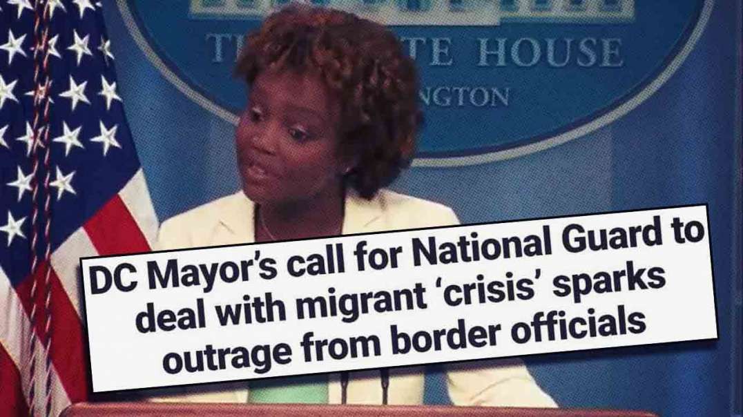 D.C. Globalists Exposed As They Cry For Help With Illegal Migrant Crisis