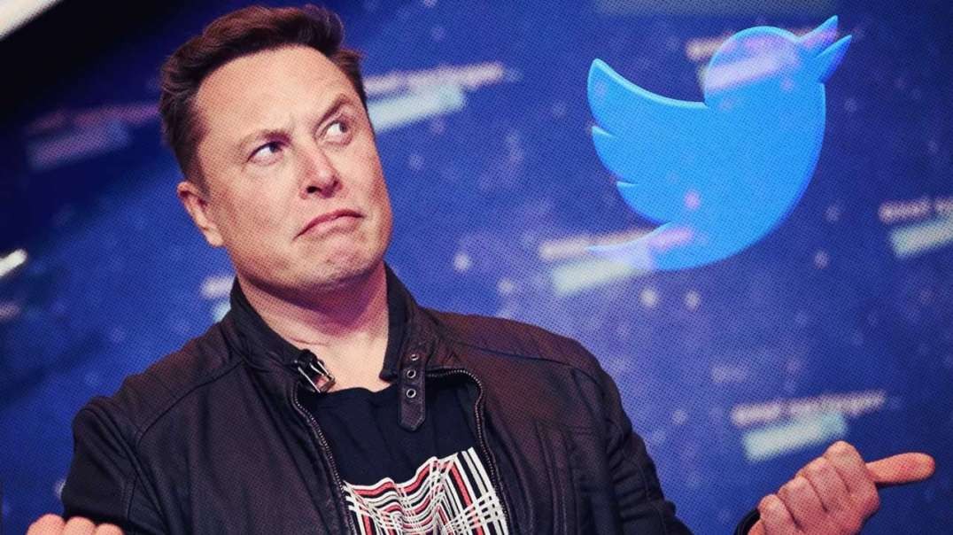 Democrats Panic That Musk Might End Censorship On Twitter